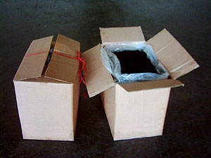 Forty Kilogram Cartons